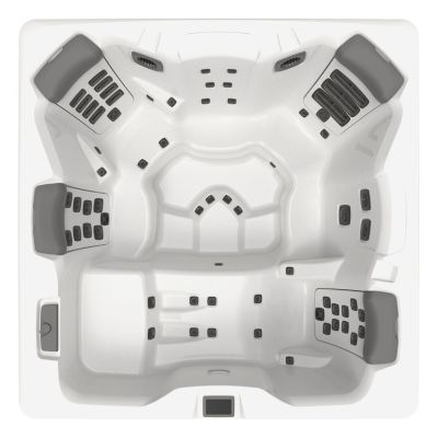 Spa бассейн Bullfrog Spas A-series A8L (США), 239×239×97 см