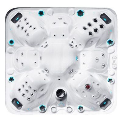 SPA бассейн PassionSpas The Joy (Нидерланды), 225 х 225 х 91 cm