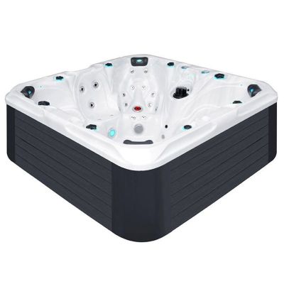 SPA бассейн PassionSpas The Joy (Нидерланды), 225 х 225 х 91 cm