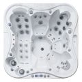 SPA бассейн IQUE PLATINUM 2310ЕР Eden (Швеция), 229 x 229 x 96 cm